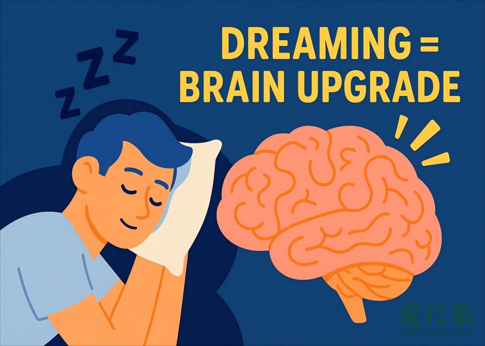 你以为梦是胡思乱想？科学告诉你：梦是大脑进化外挂！