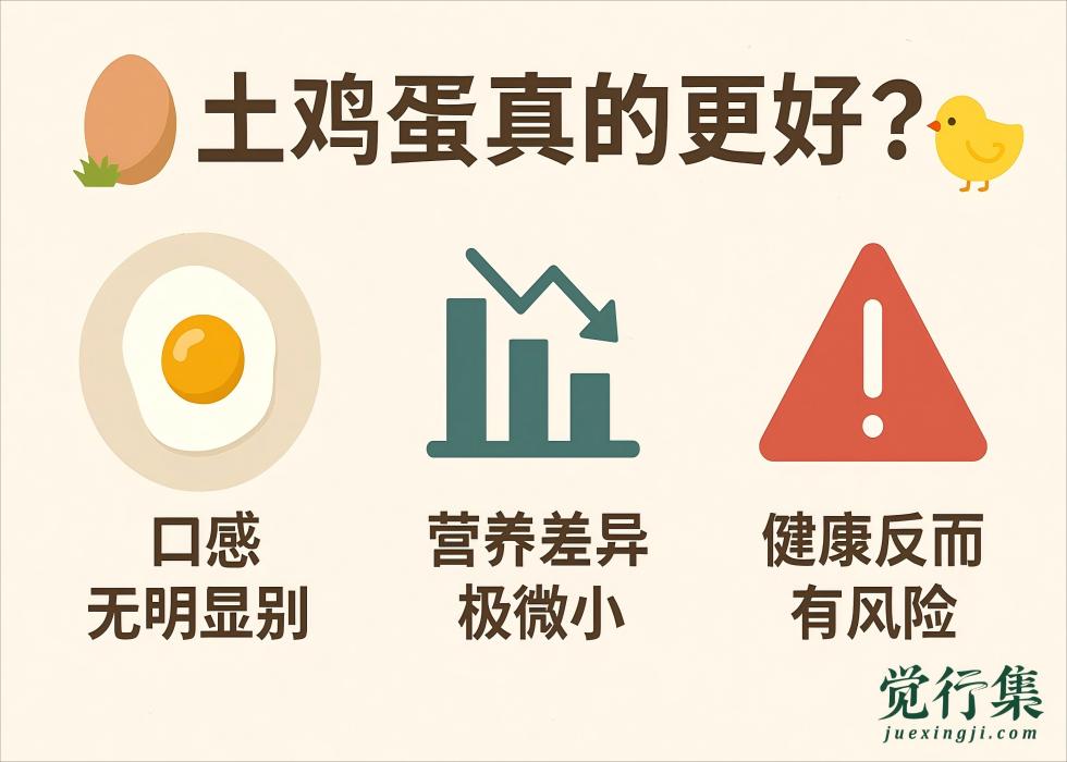 “土鸡蛋”真更营养？别再被贵价和颜色骗了！