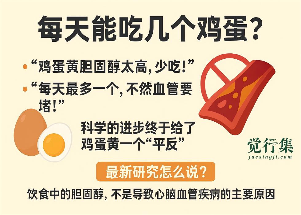 每天能吃几个鸡蛋？医生和科学家给出的解释很颠覆！【觉行集juexingji.com】