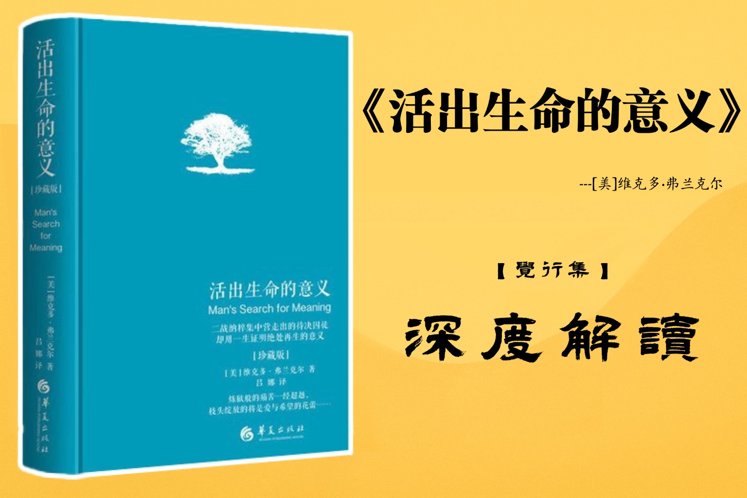 《活出生命的意义》书籍深度解读封面