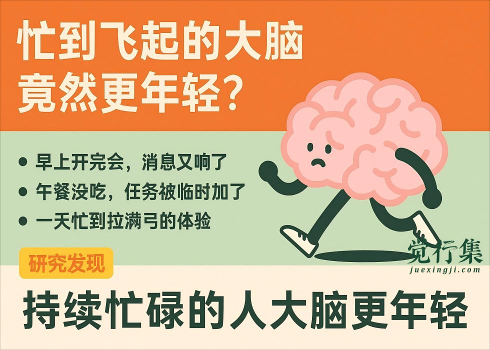 忙到飞起的大脑，竟然更年轻？