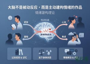 情绪是被“建构”出来的——不是你以为的那样 文章封面